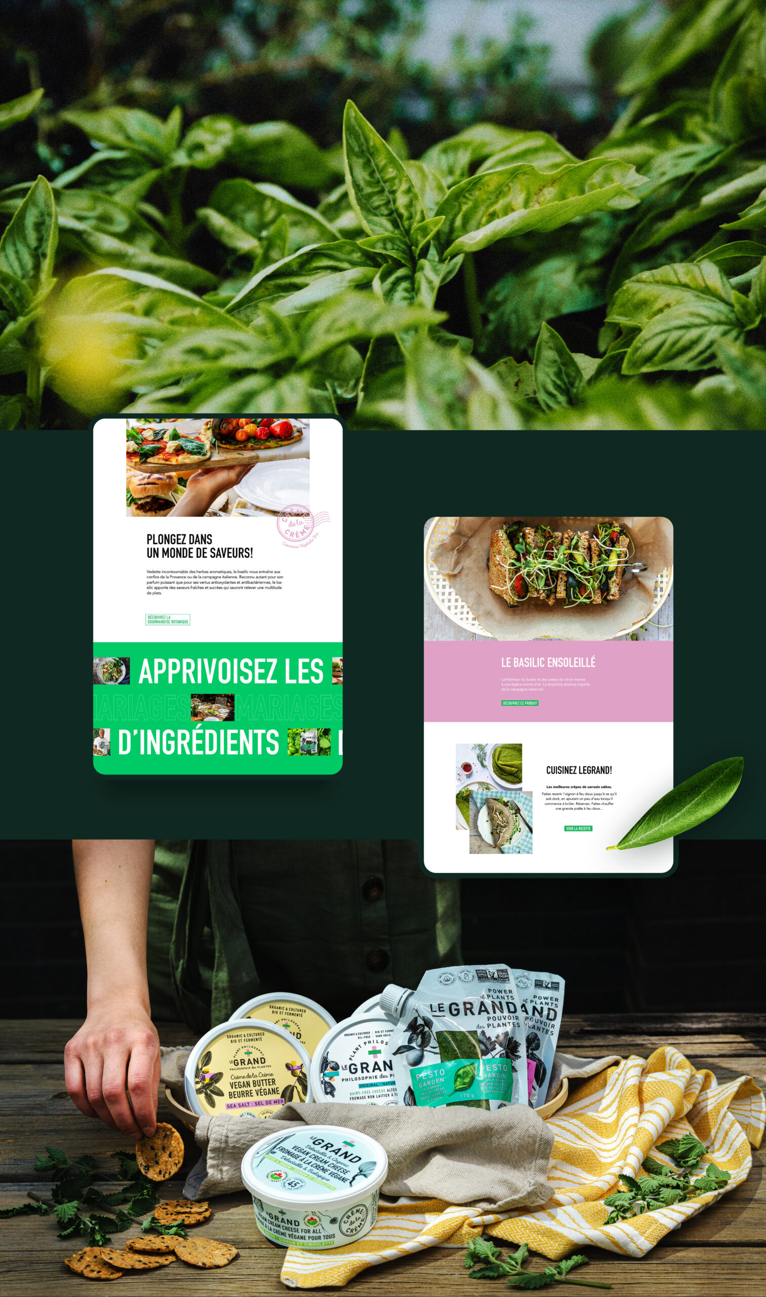 Legrand portfolio copie2