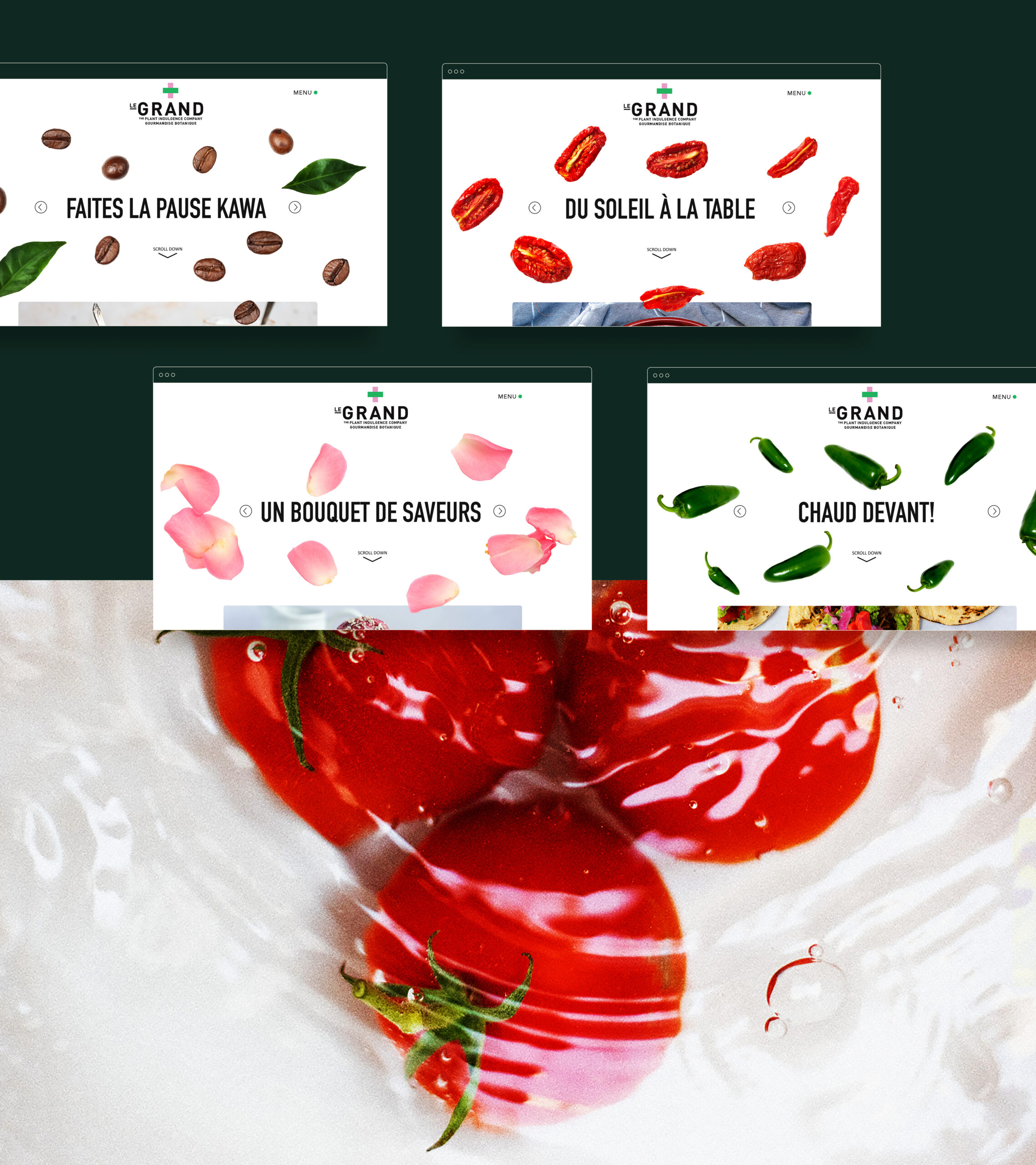 Legrand portfolio copie3