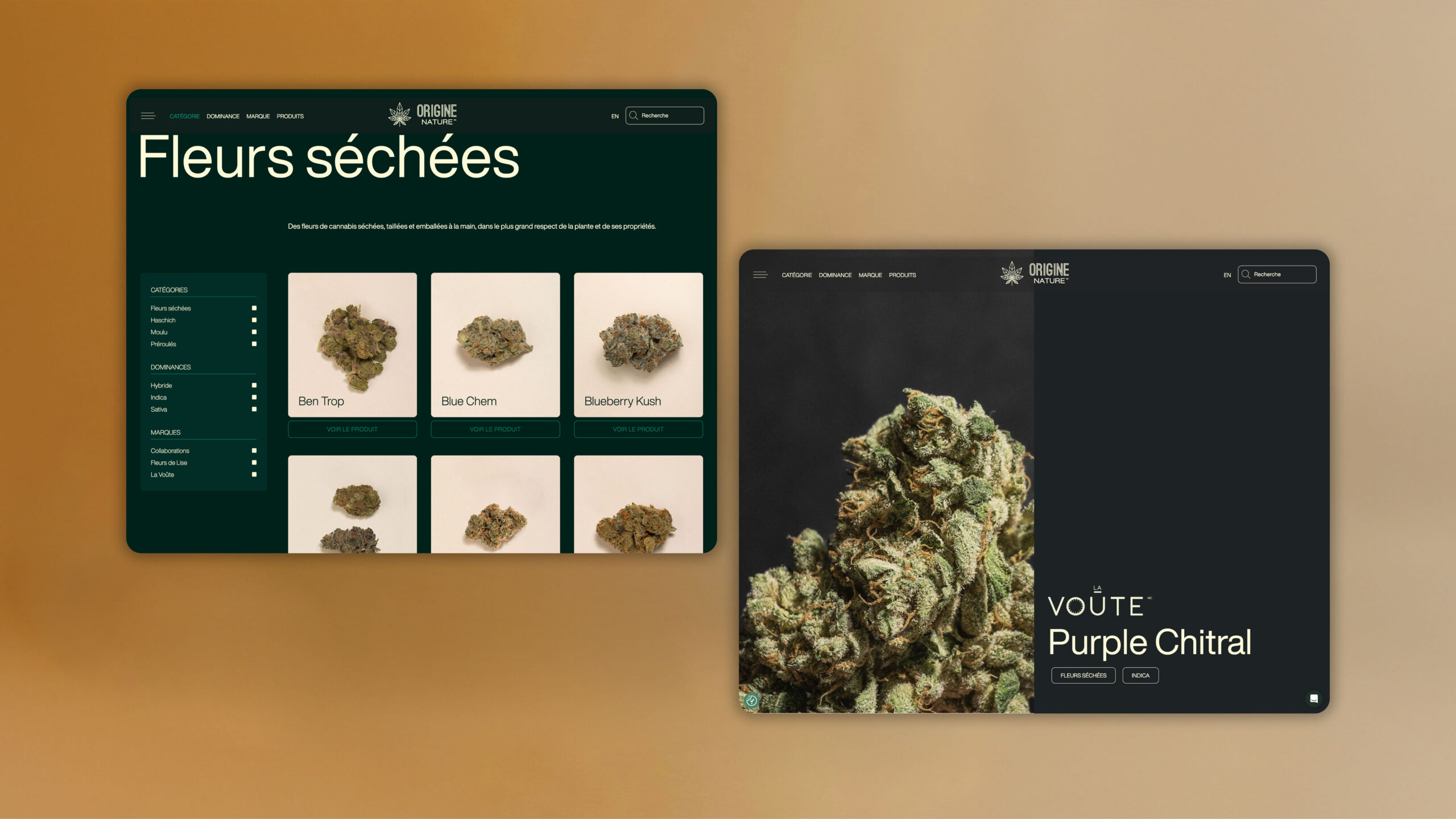 frank-flores-JYqBaszbaEQ-unsplash